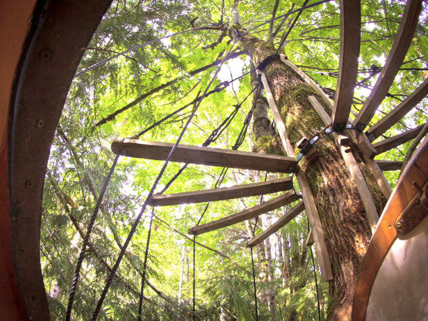 Free Spirit Spheres球体树屋丨哥伦比亚丨Free Spirit Spheres社-15