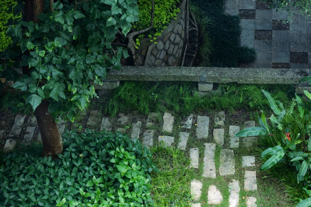 鹭潮·鼓浪屿美院丨中国厦门丨GND杰地景观-105