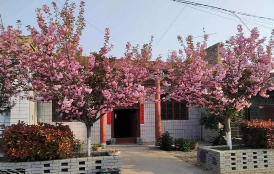 陕西大魏村美丽乡村建设丨中国咸阳-34