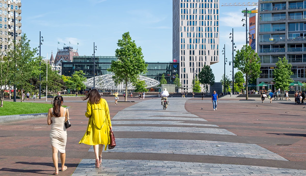 Binnenrotte Rotterdam-7