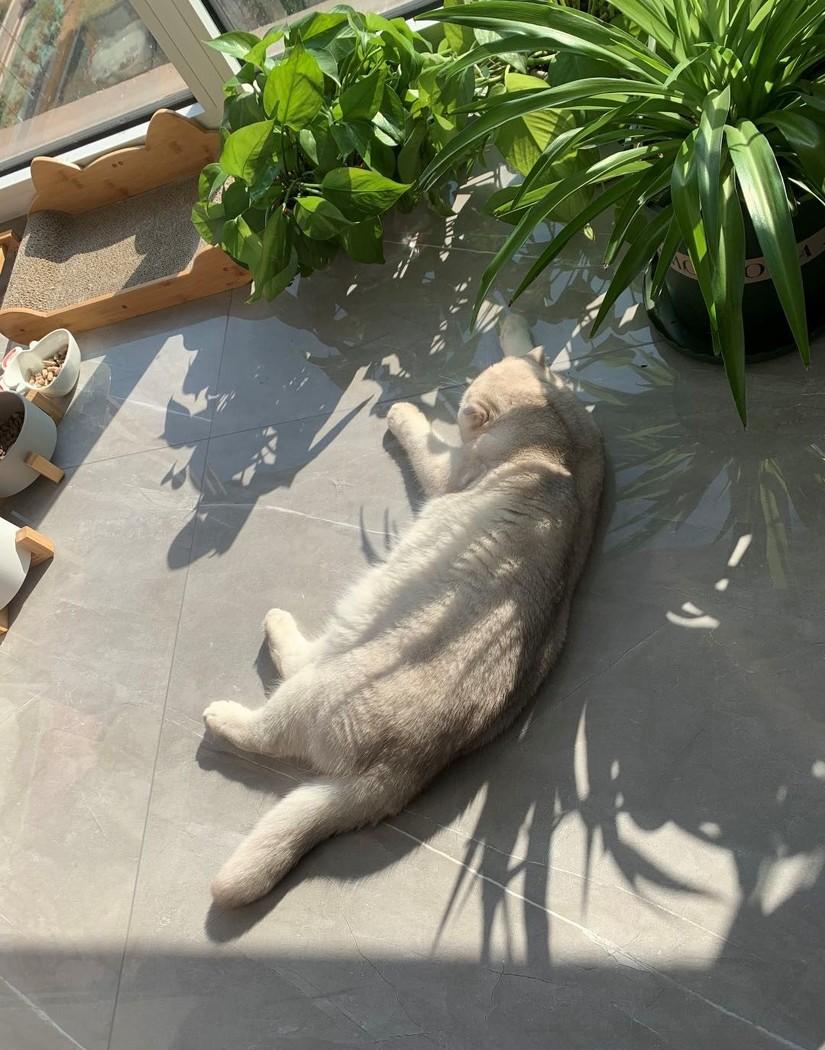 融合多种色彩的个性家居设计-77