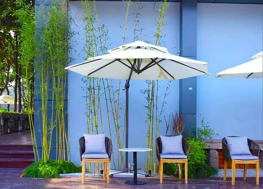 迪赛·东篱 | 闲田信步，采菊东篱-70