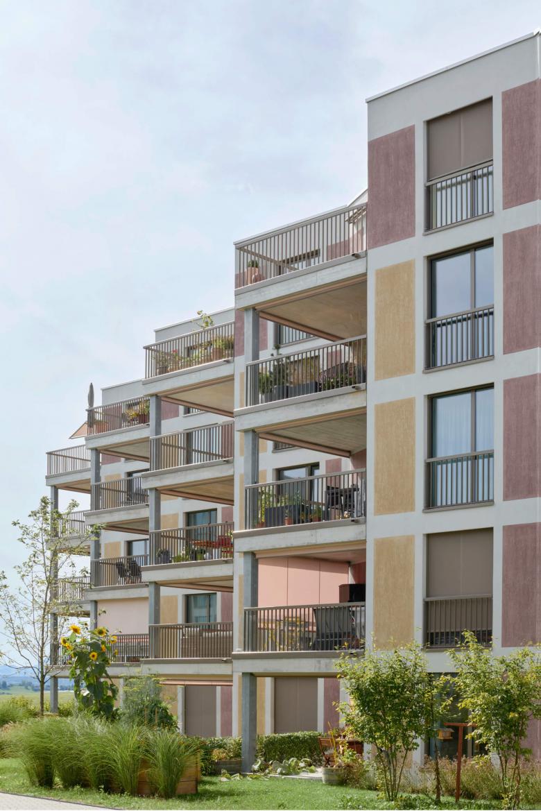 福格尔桑格替代新建丨瑞士-12