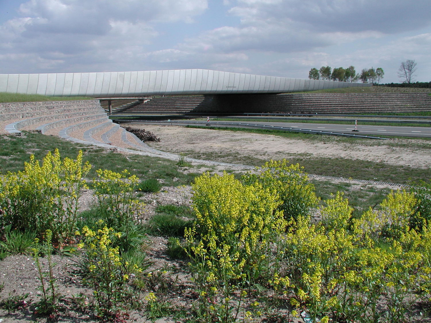 博克尔德野生动物穿越区丨ZJA I Architects & Engineers-16