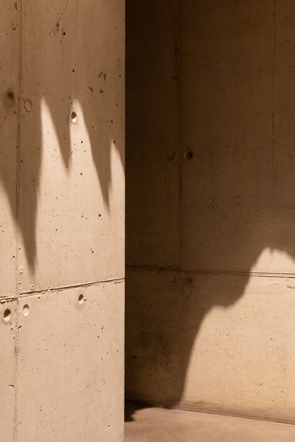 丨南非丨Common Architecture-35