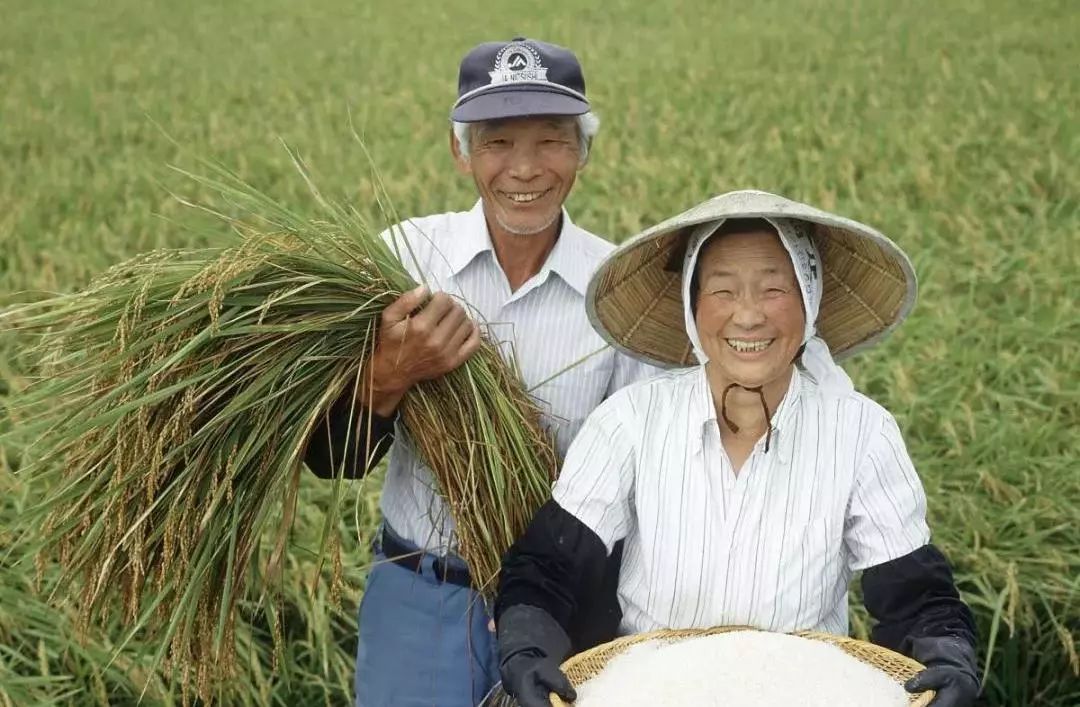 日本“空心村”的美术馆重生-6