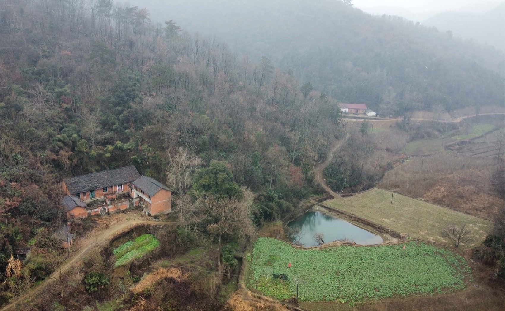 大乐之野·银杏谷丨中国洛阳丨上海末广建筑设计有限公司-280