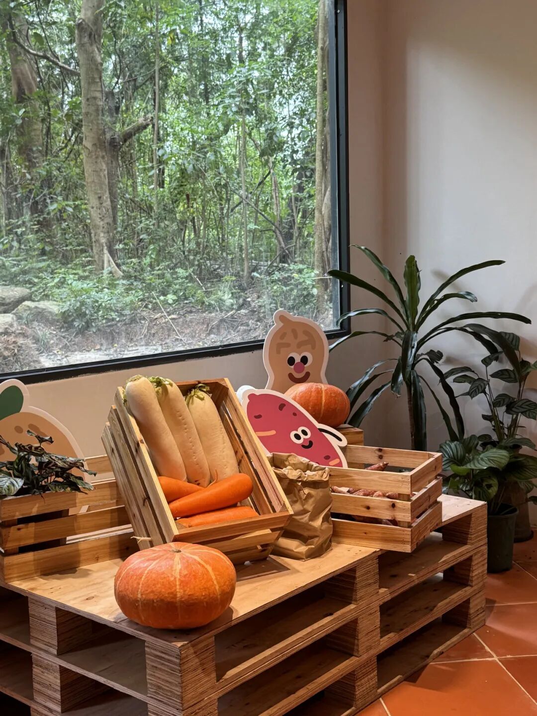 深圳园博园：用公园打开城市生活新方式-88