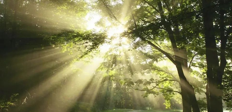 融创沈阳海逸长洲售楼中心丨中国沈阳丨MOD墨设设计-6