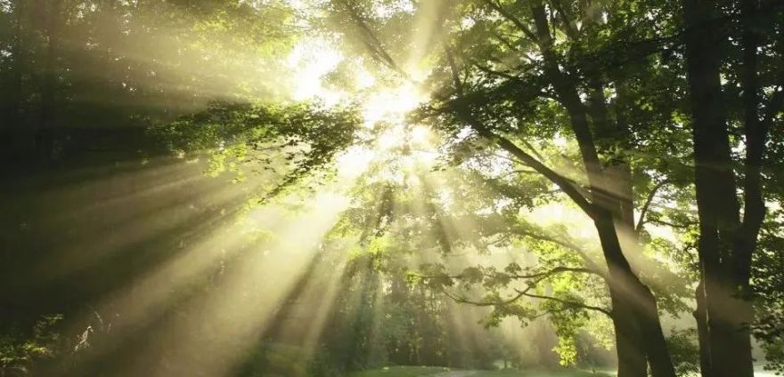 融创沈阳海逸长洲售楼中心丨中国沈阳丨MOD墨设设计-6