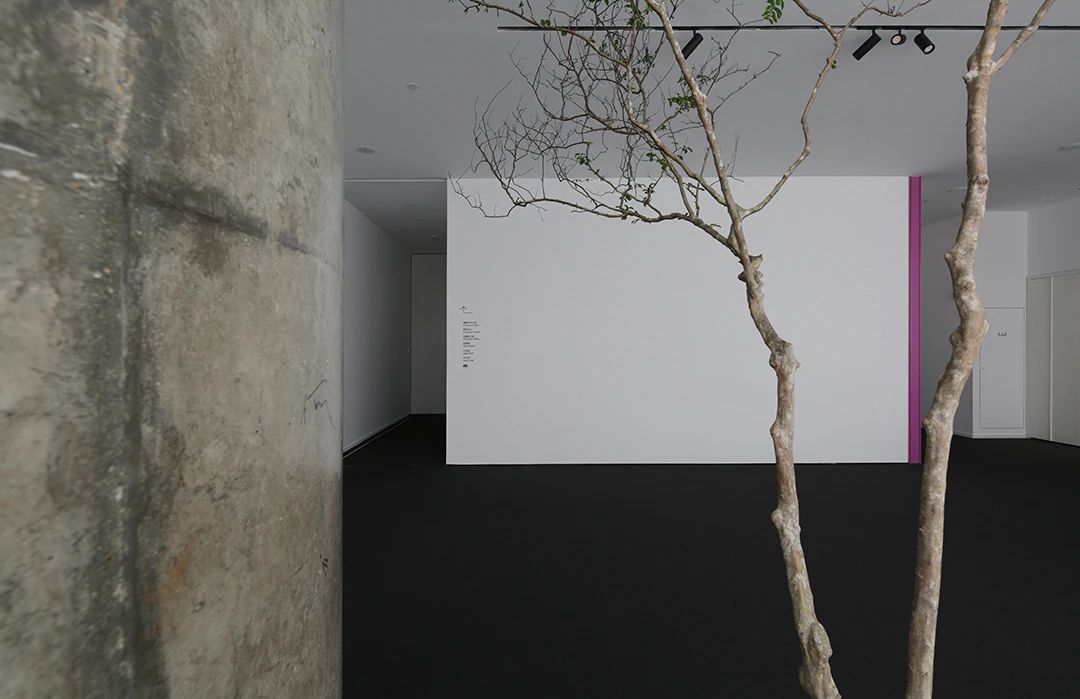 三口之家丨中国广州丨谭立予设计师工作室-100