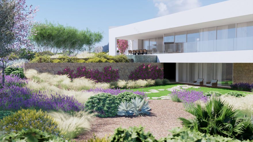 帕尔马雷斯(奥迪埃雷)-16