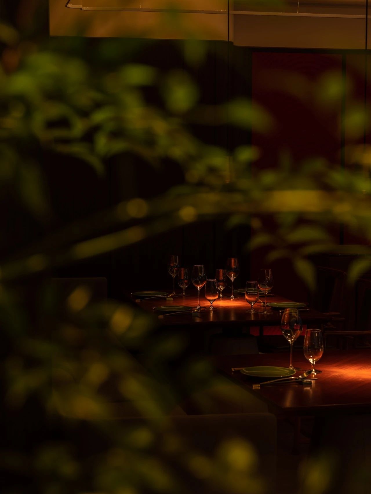 上海晟永兴（陆家嘴店）丨中国上海丨PROL光石-52