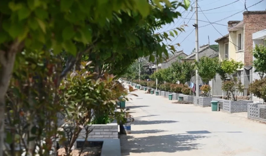 陕西大魏村美丽乡村建设丨中国咸阳-33