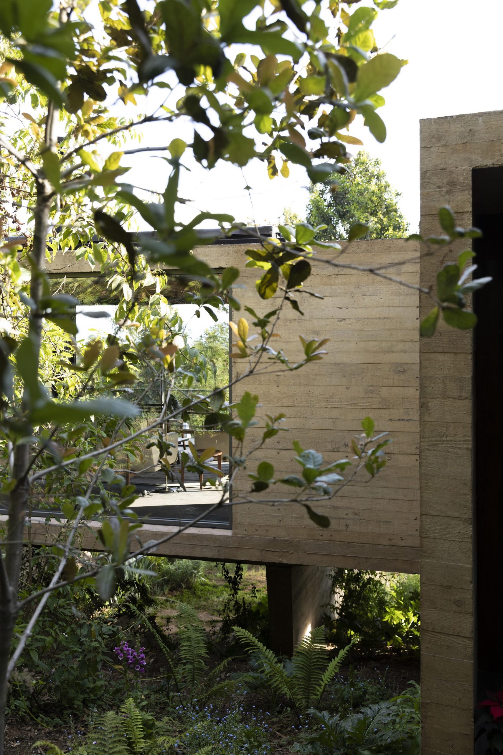 墨西哥森林花园-5