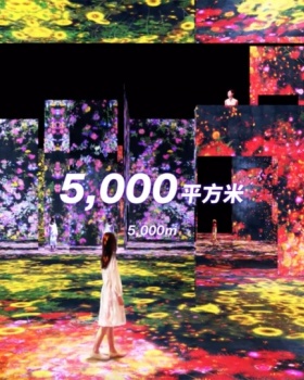 澳门全新 teamLab 美术馆，沉浸体验的艺术空间