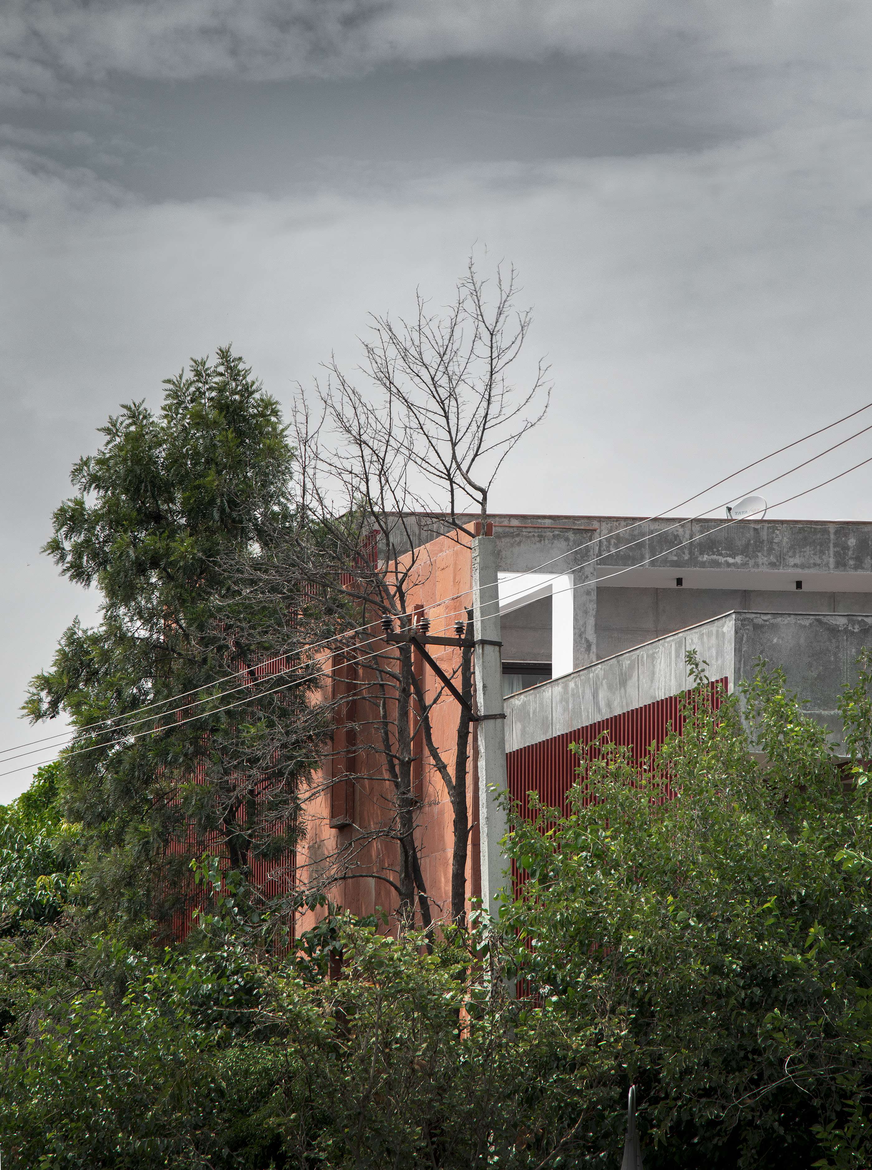 House With 49 Trees RENESA-1