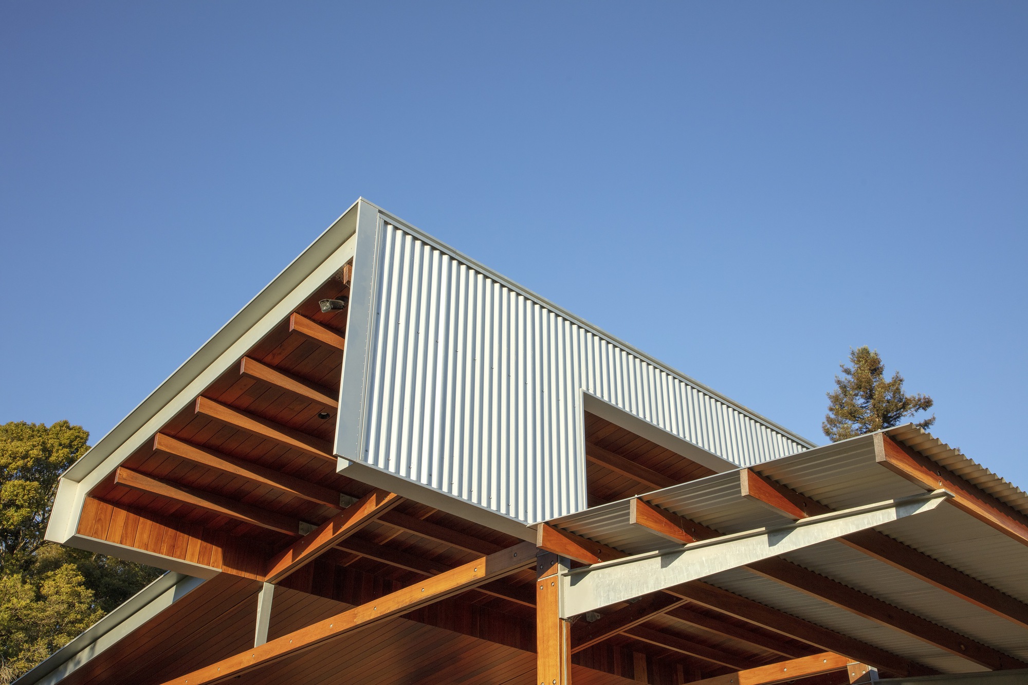 梅琳达公园住宅丨澳大利亚丨Richard Cole Architecture-23