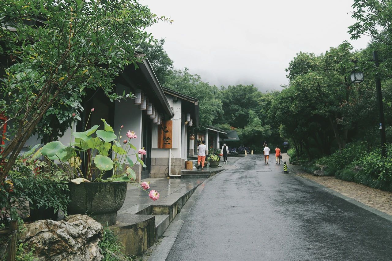 杭州乐禧乐熹酒店 | 禅意美宿，自然之美与设计的完美结合-6