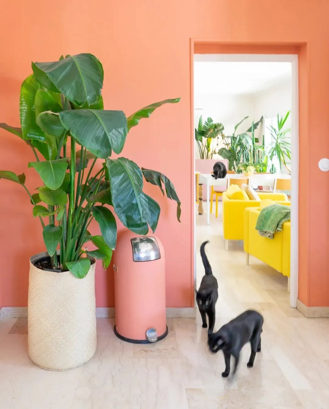 马卡龙色系的家丨法国丨Judith-3