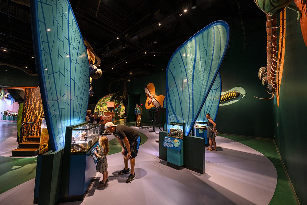 Crystalline volume added to Audubon Aquarium and Insectarium in New Orleans | CambridgeSeven-1