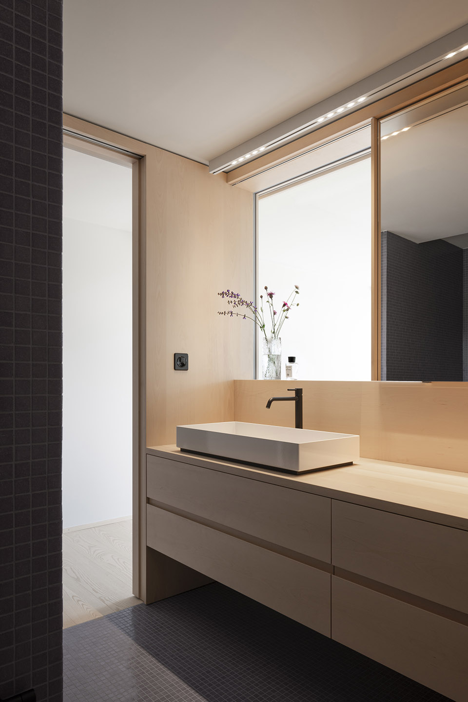 瑞士 MSH 公寓丨Ralph Germann architectes-21