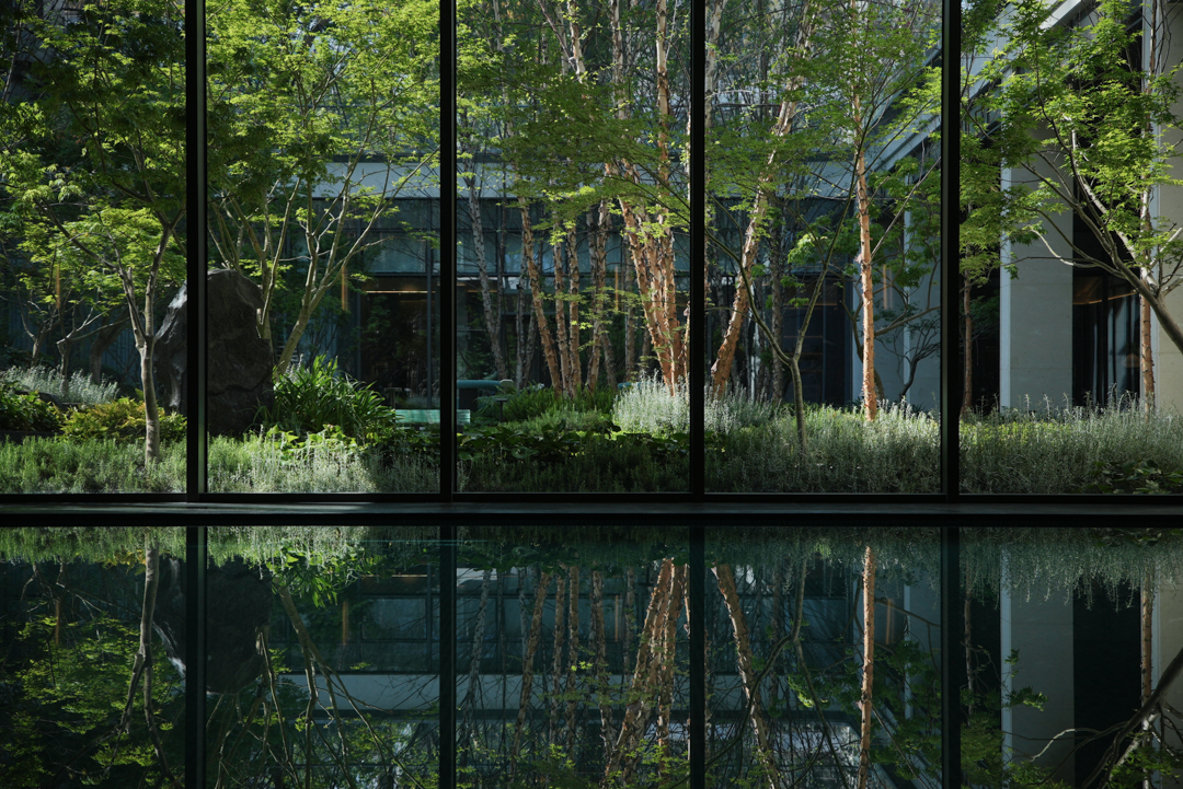 苏州蠡棠森屿-在苏州城市注脚下，种上一片森林丨中国苏州丨MIND  迈德景观-39