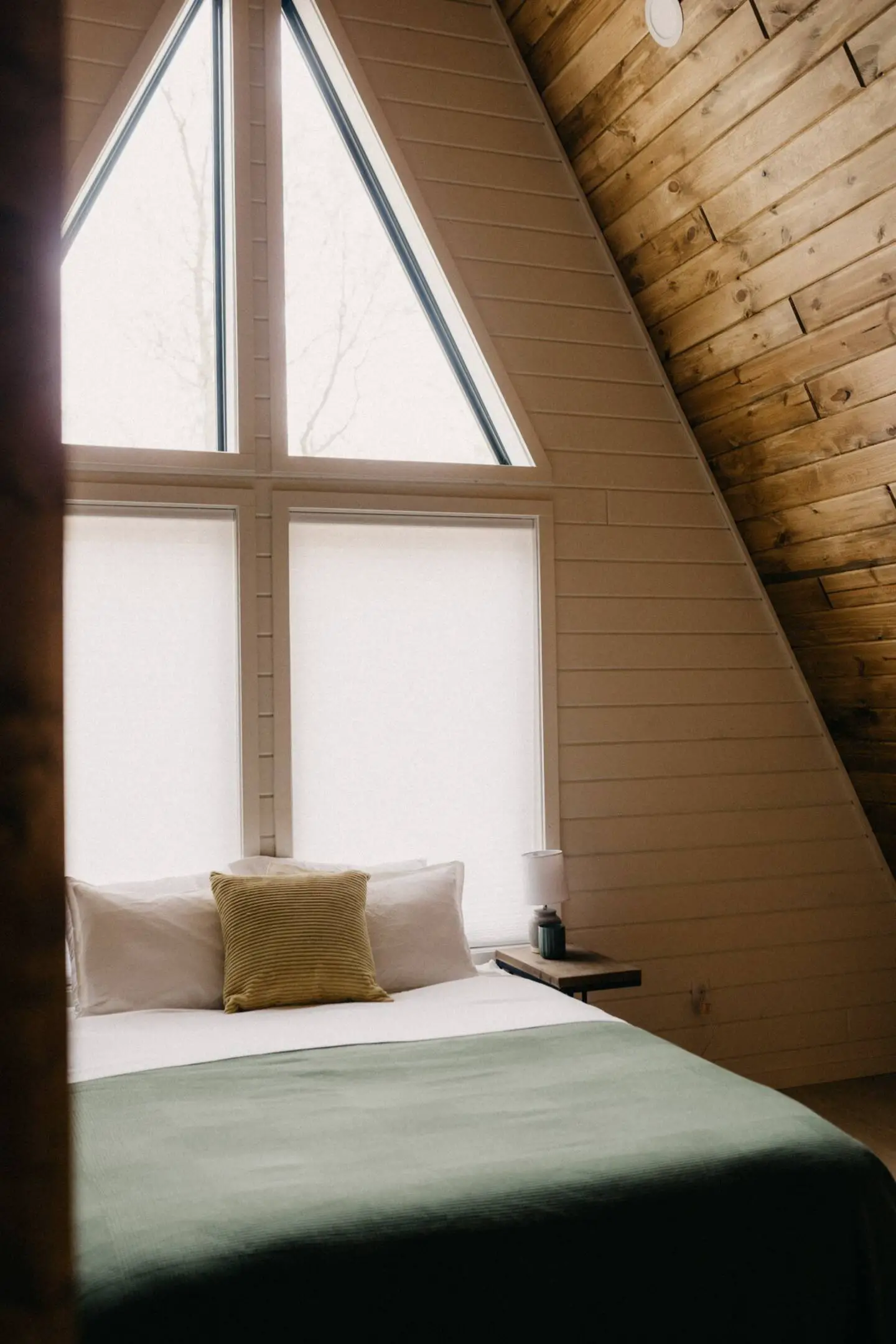 绿色主题 A 框架木屋,体验自然之美-9