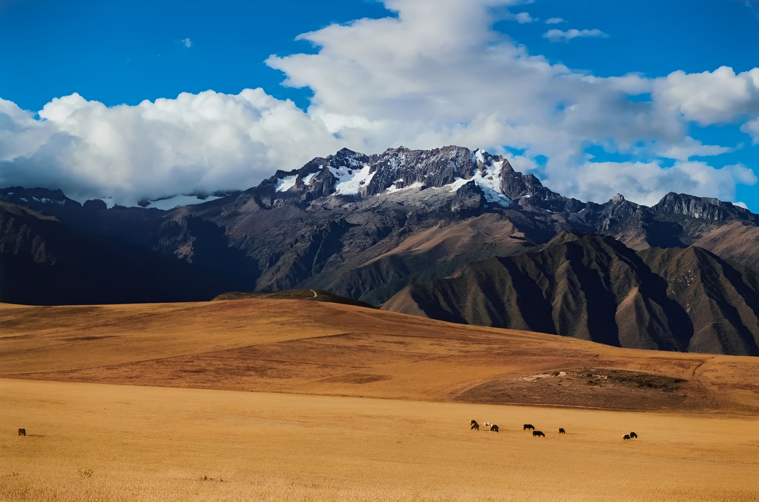 MIL 餐厅丨秘鲁库斯科丨Estudio Soroche 设计工作室-4