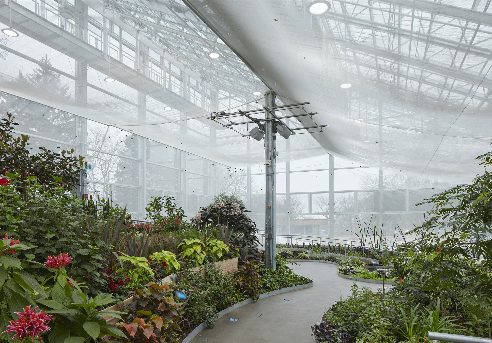 蒙特利尔昆虫馆丨加拿大蒙特利尔-6