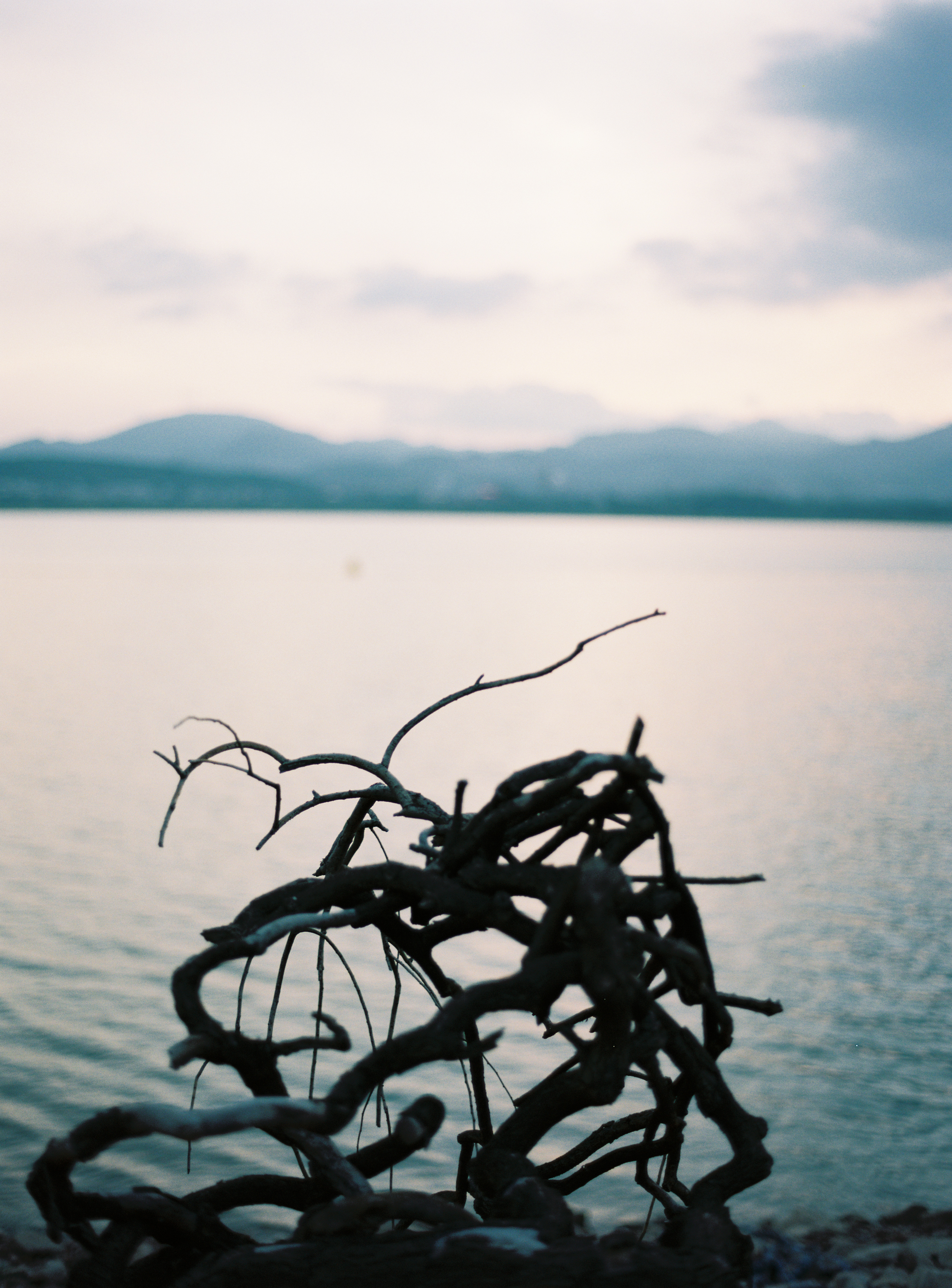 谷堆白沙 一期 景观丨中国白沙丨boll是园-56