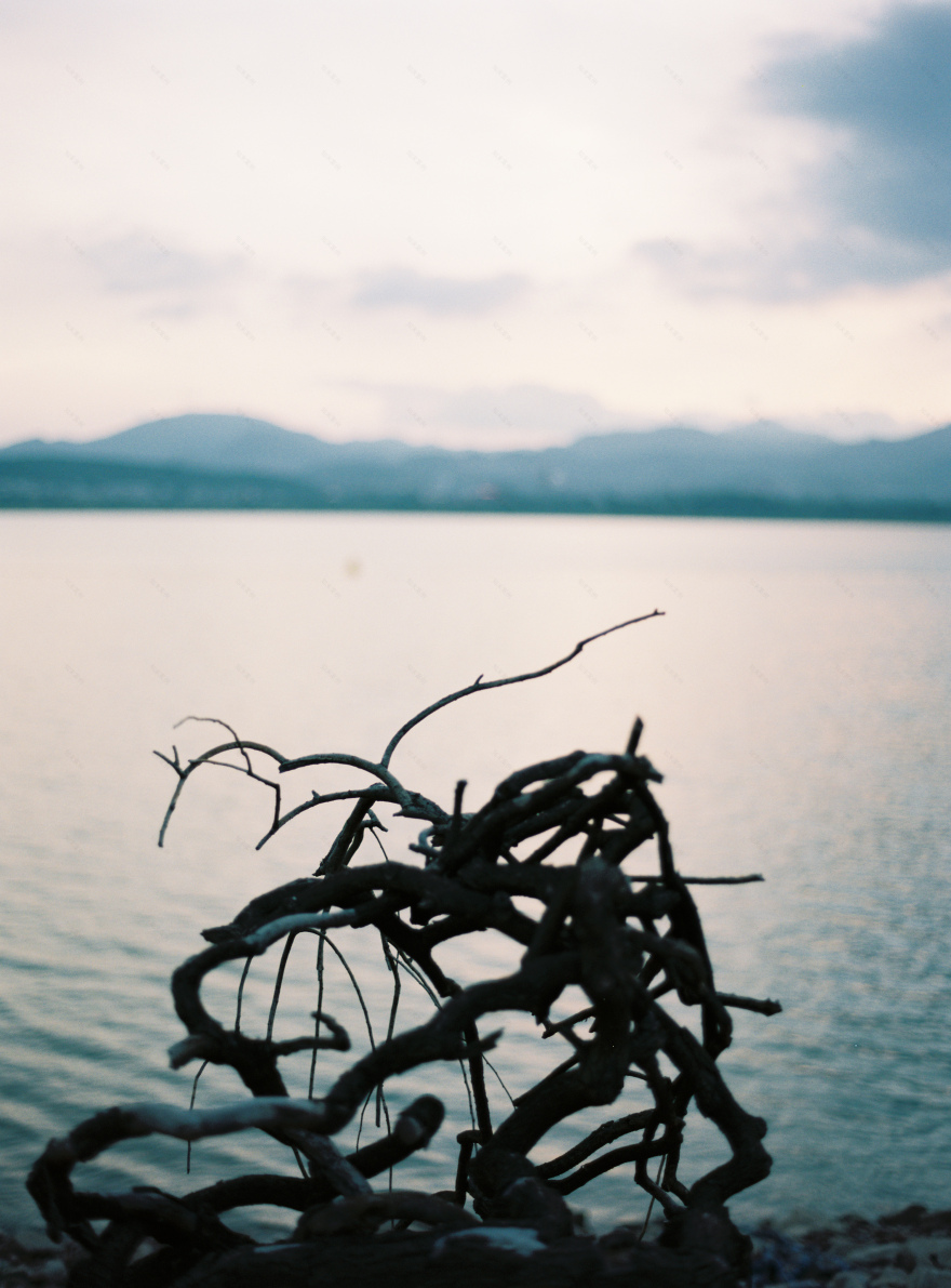 谷堆白沙 一期 景观丨中国白沙丨boll是园-56