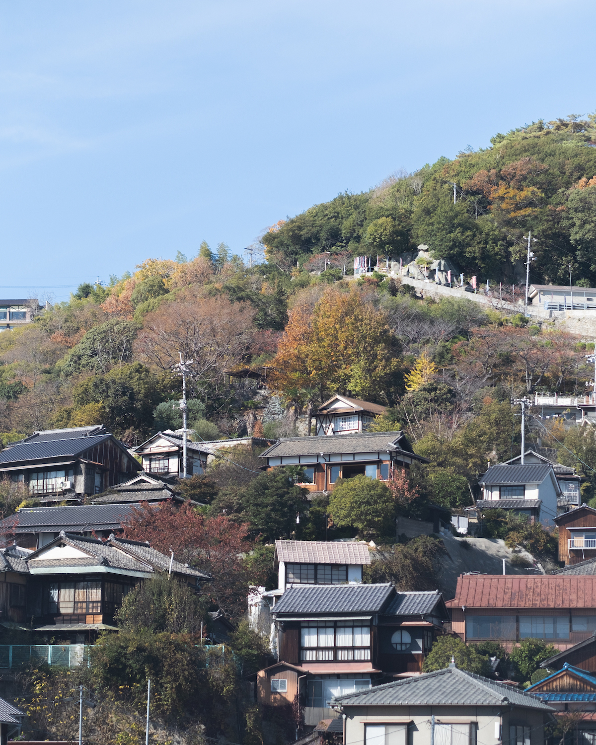 丨日本广岛丨Jo Nagasaka,Schemata Architects-2