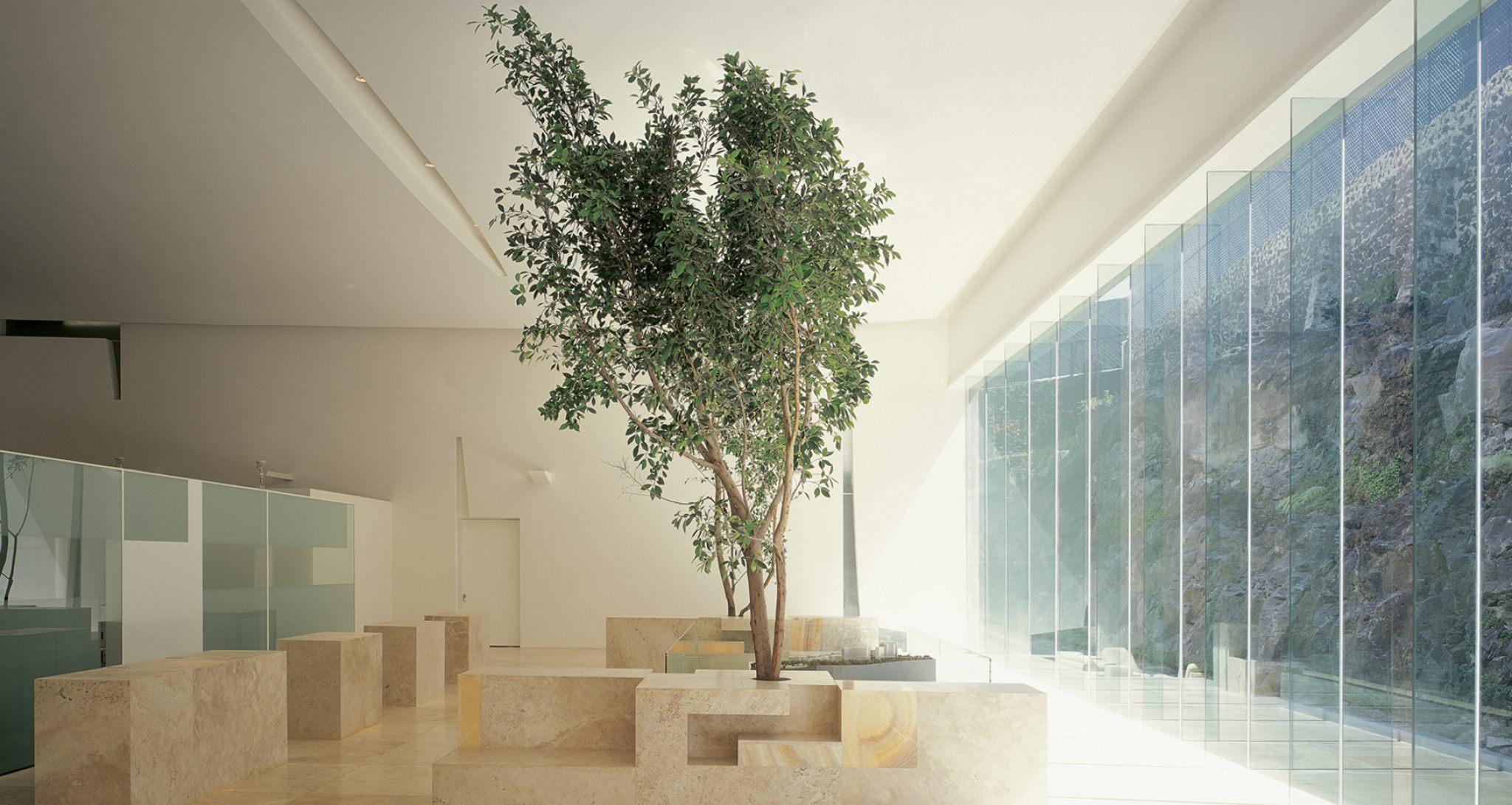 PEDREGAL Miguel AngelAragonés-1