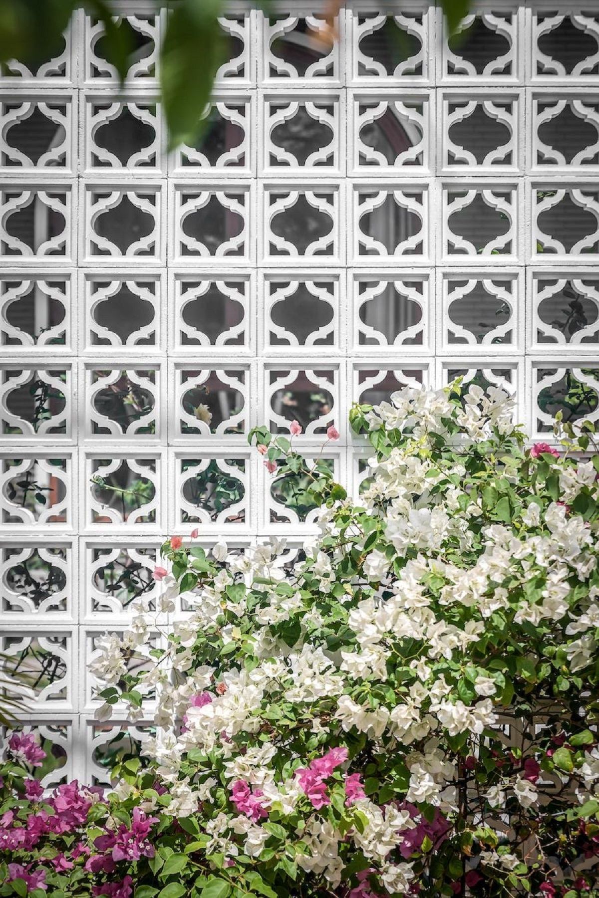 3become1 House · 绿色翻新的城市家园-17