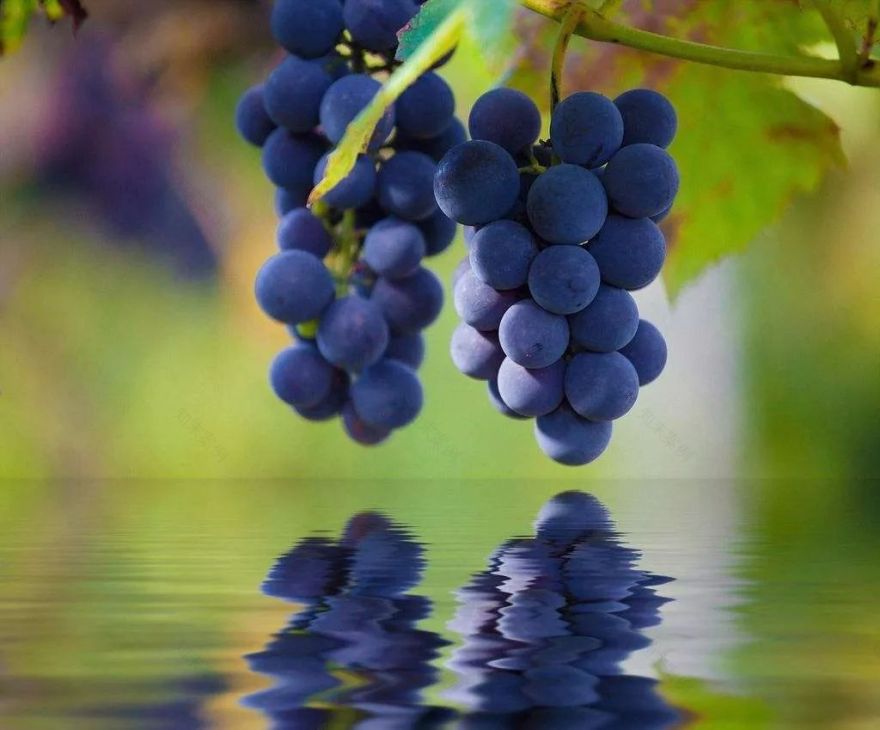 《大圩•龙熙•堤香》 | 旧物新生,打造自然人文空间-27