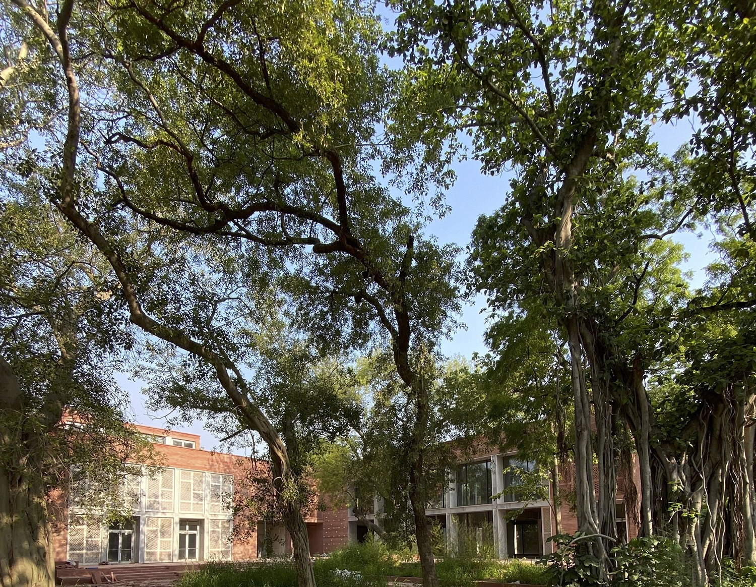 胡马雍陵遗址博物馆丨印度新德里丨Vir.Mueller Architects-37