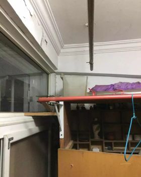南京 40 平自然北欧风老房翻新，猫咪“二零”的惬意生活