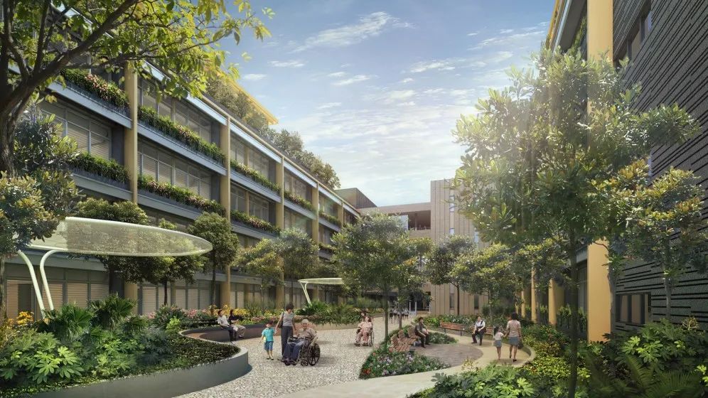 新加坡兀兰健康医疗园区丨SAA-31