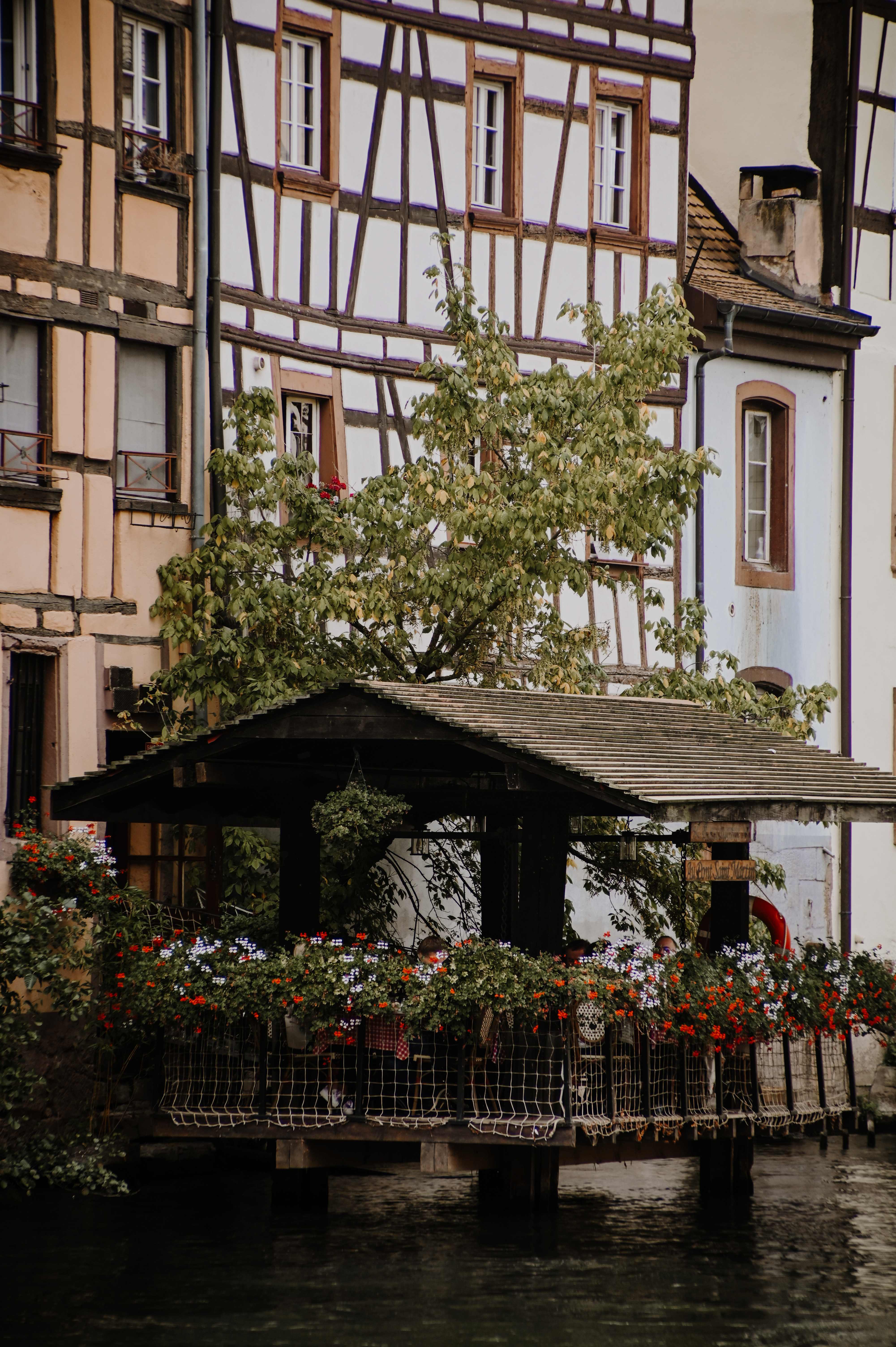 花与建筑的拥抱丨rach_vdb & hash_yan-14