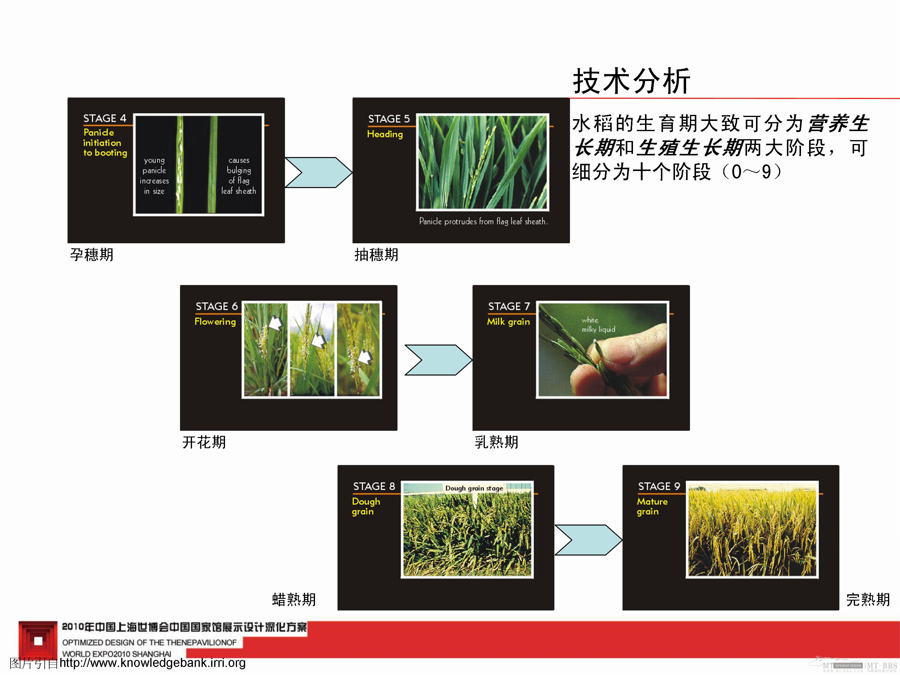 中国馆深化方案-5-32