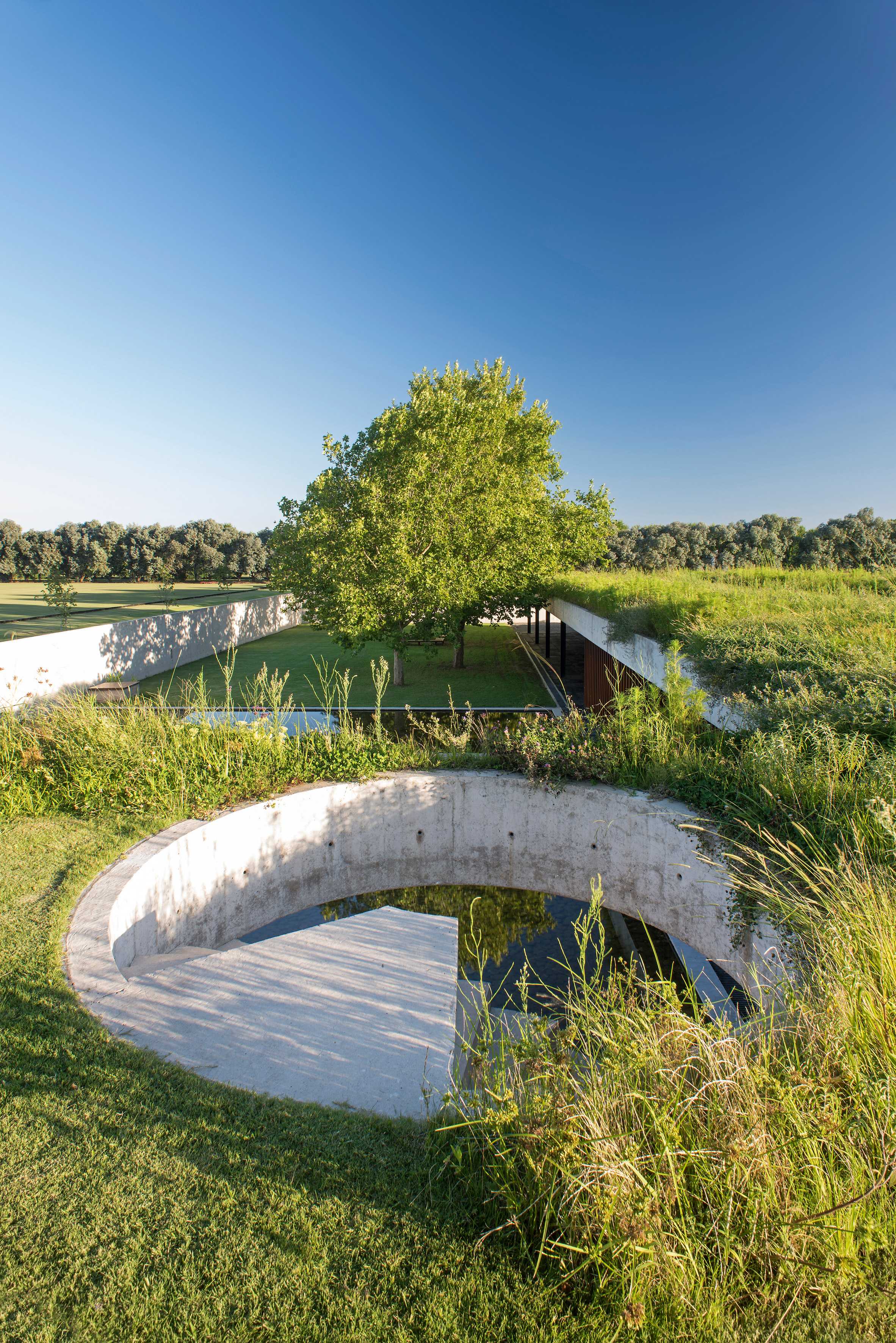 Polo stables features grassy roof for horses to graze and spectators to sit-22