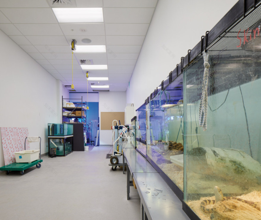 阿尔伯塔皇家博物馆-19