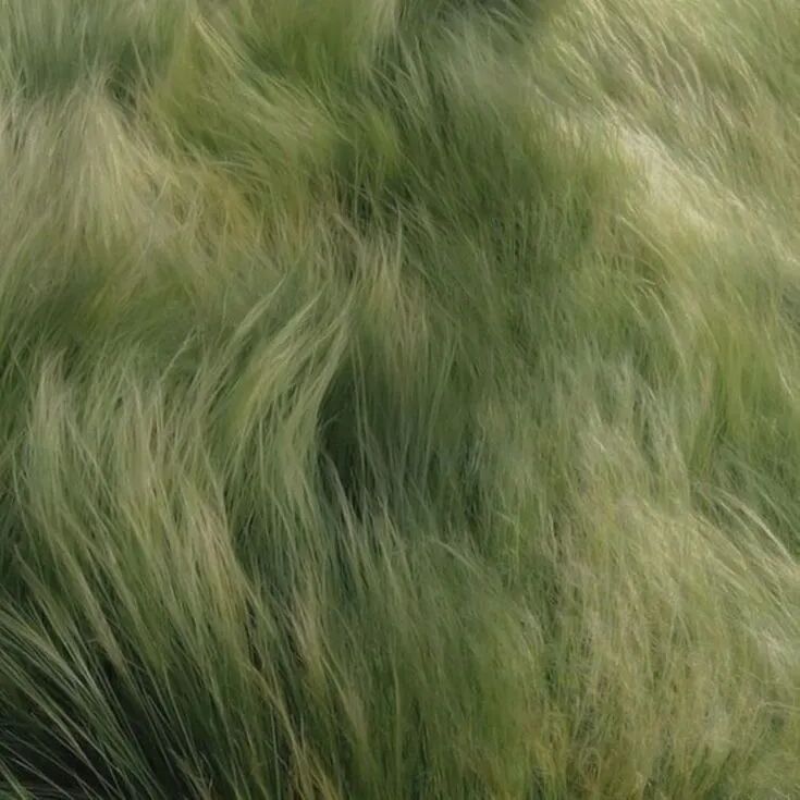 春深住宅室内设计丨中国台州丨為设计(For You Design)-19