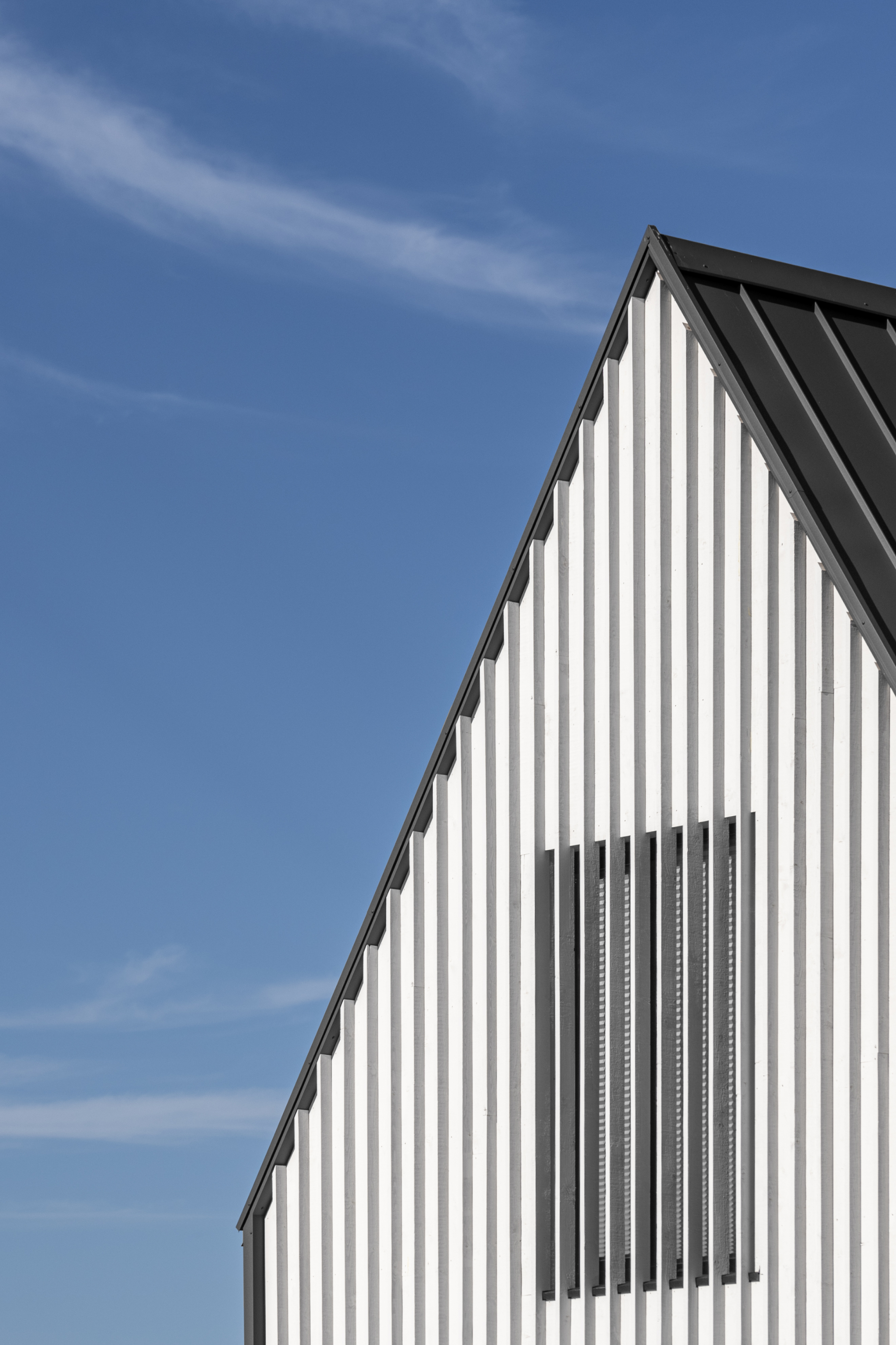 海滨花园别墅丨立陶宛丨Laurynas Žakevičius Architects-24