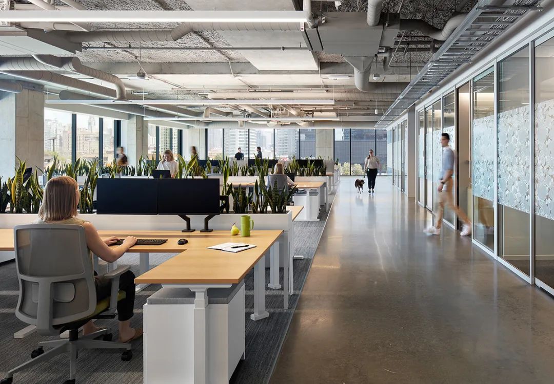 Hazel 科技芝加哥总部丨美国芝加哥丨Perkins&Will-19