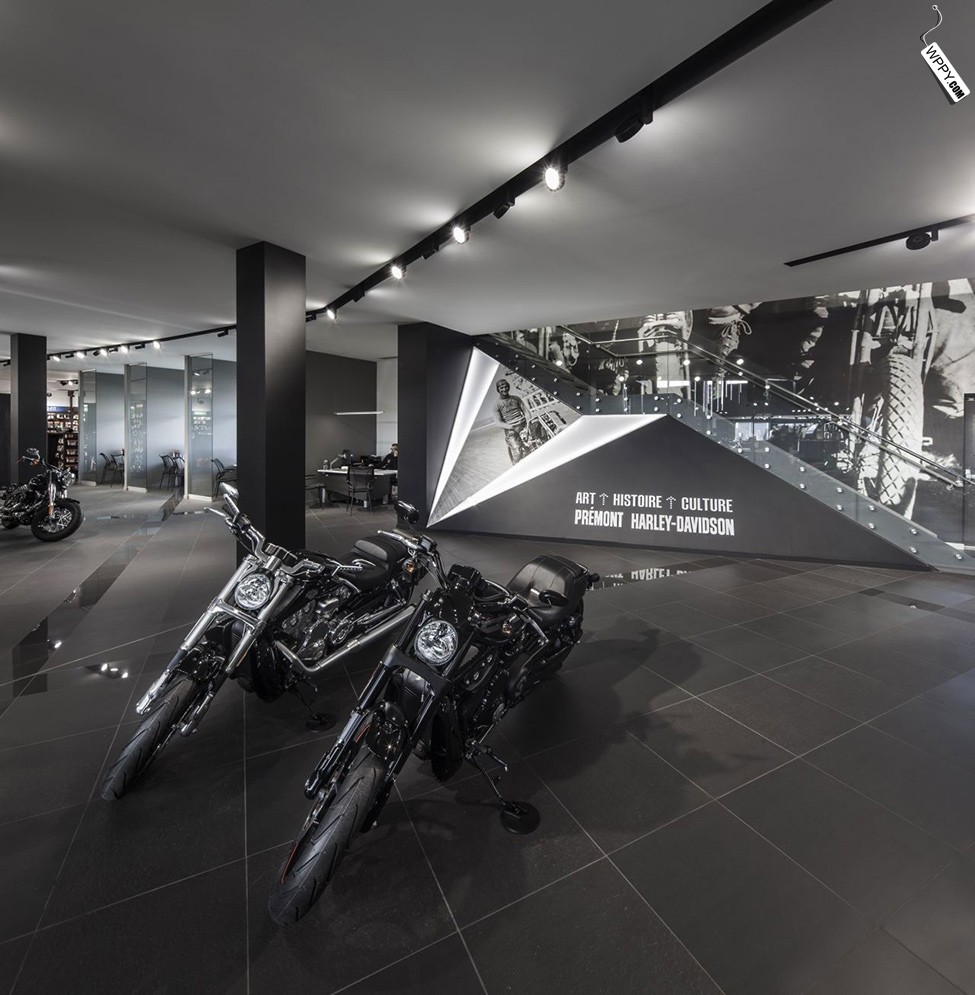 复杂的PREMONT哈雷戴维森-9