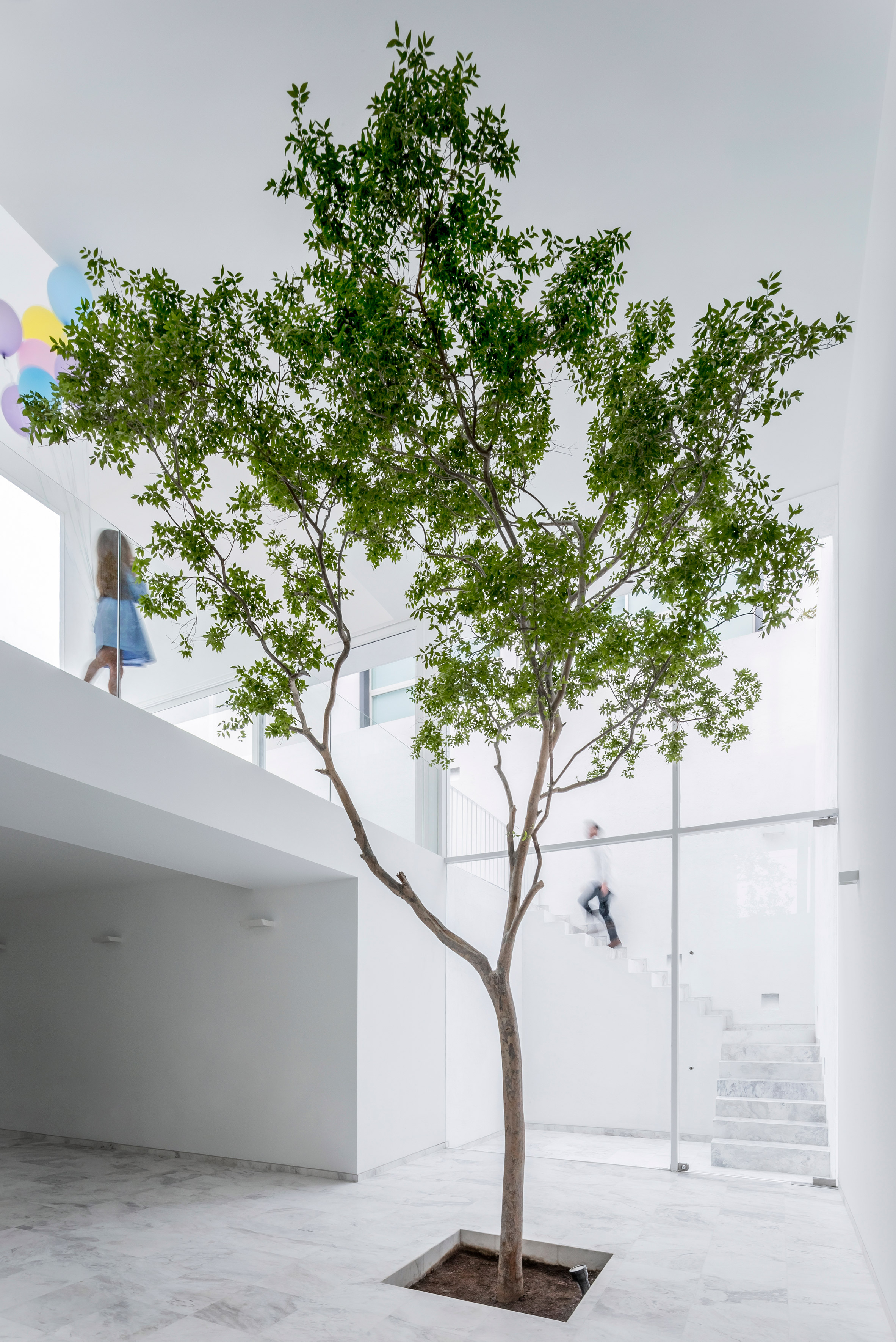 Abraham Cota Paredes' inward-looking Cave House features huge window to tree-planted atrium-10
