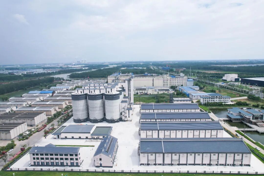 建证高质量发展|品质建造“大国粮仓”！中建国际承建的苏宿粮食仓储与加工项目竣工-6