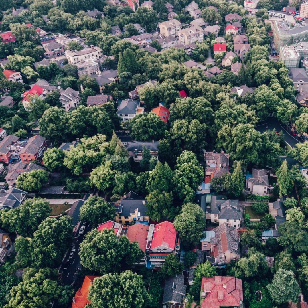 南京老城区建筑风情录 | 穿越时空的民国韵味-225